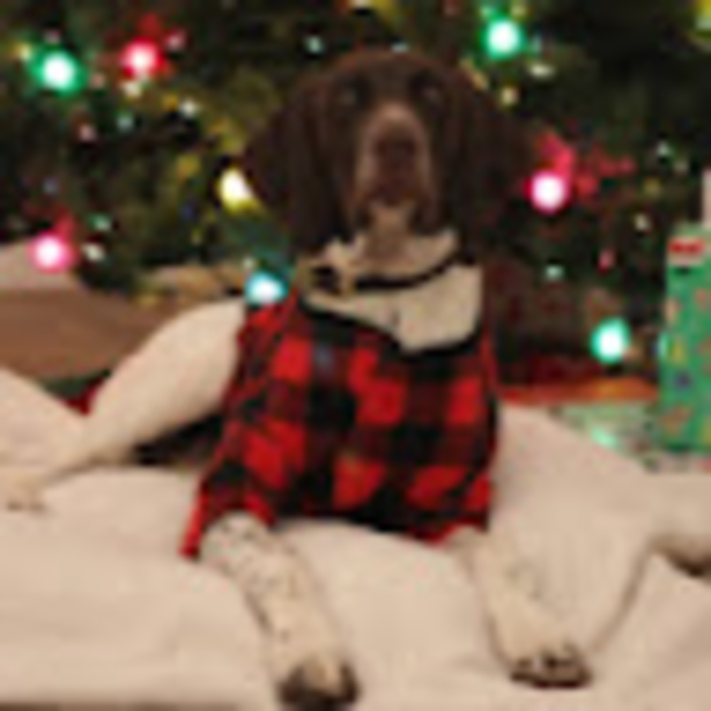 Meet your Posher, Maggie